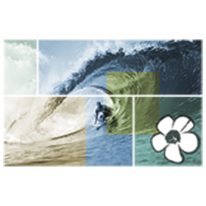 SURFER WAVE HIBISCUS MOSAIC                                 