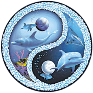 DOLPHIN YIN YANG