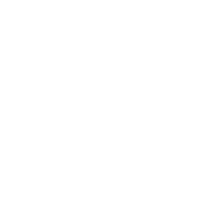 MARIACHI SKELETON IN MOONLIGHT