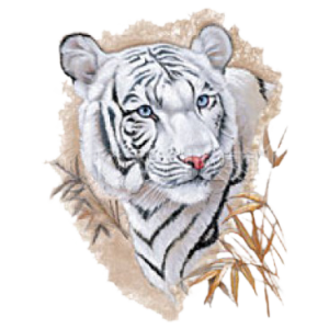 TIGER HEAD                                                  