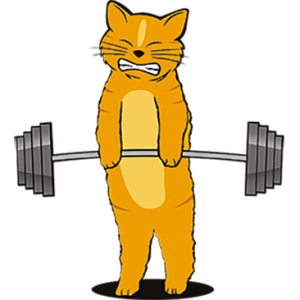 WORKOUT CAT                                                 