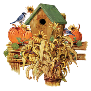 BIRD HOUSE AUTUMN PUMPKINS