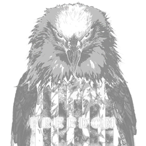 EAGLE FREEDOM FLAG