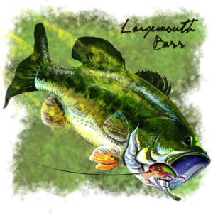 LARGEMOUTH BASS