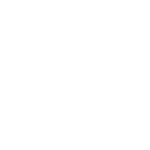 PEOPLE PERSON