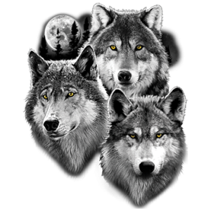 THREE WOLVES