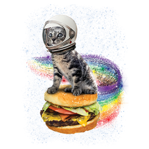 RAINBOW BURGER CAT