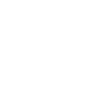 PICKLEBALLER