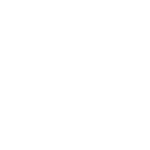 IDIOT CONTROL WHITE