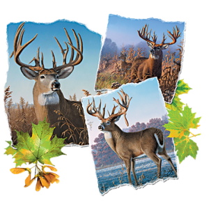 DEER MONTAGE