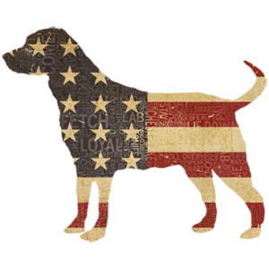 AMERICAN DOG