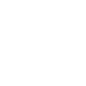 BOY MOM