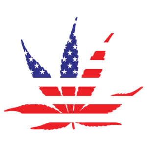 AMERICAN POT LEAF