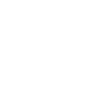 WHITE SUGAR SKULL TEXAS