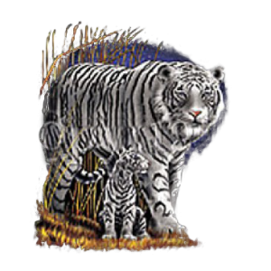 WHITE TIGER-FULL BODY                                       