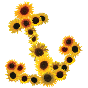DAISY ANCHOR