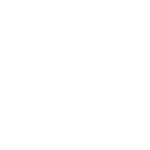 TEAM JESUS WHITE INK