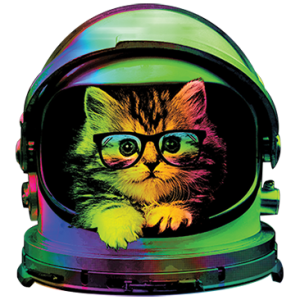 SPACE KITTEN