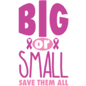 BIG OR SMALL                                                