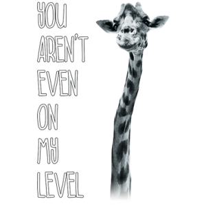 GIRAFFE - MY LEVEL                                          