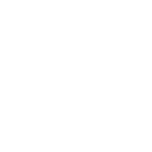 WANDERER WHITE LINE