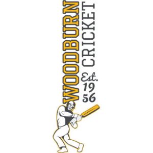 Cricket 3 Template