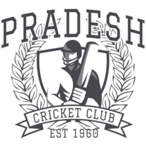 Cricket 15 Template