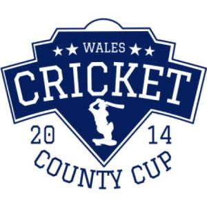 Cricket 18 Template