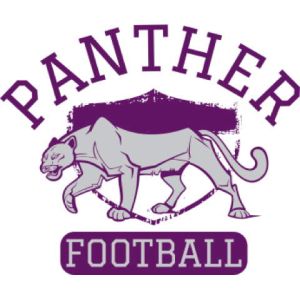 Panthers 1 Template