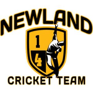 Cricket 16 Template