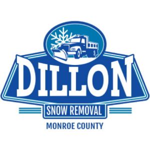 Snow Removal 1 Template