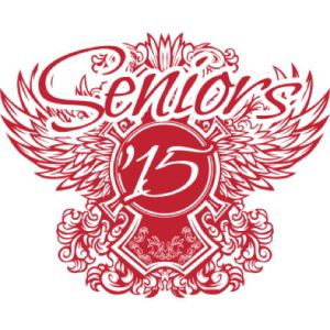 Seniors 47 Template