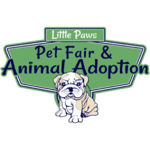 Pet Fair 2 Template