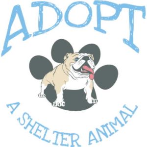 Shelter Animal Template