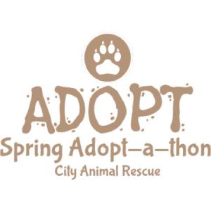 Animal Adoption 3 Template