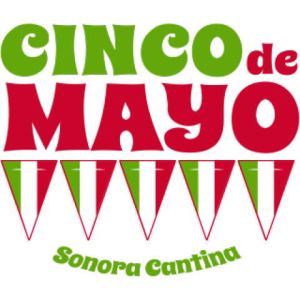 Cinco De Mayo Flag Banner Template