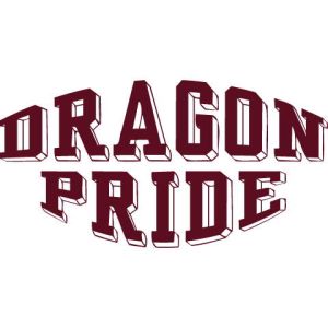 Class Pride 33 Template