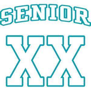 Seniors 29 Template