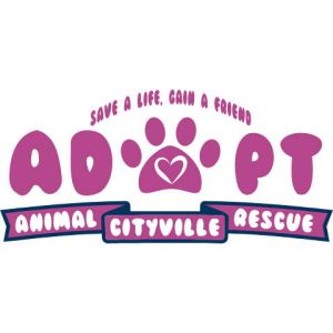 Veterinary 4 Template
