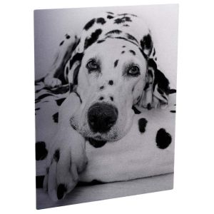 11 x 14 ALUMINUM PHOTO PANEL