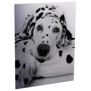 5x7 ALUMINUM PHOTO PANEL.