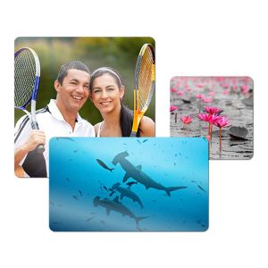 8 x 10 PHOTO PANEL