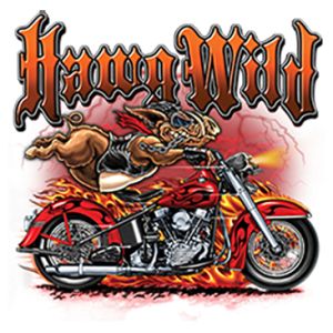 HAWG WILD BIKE