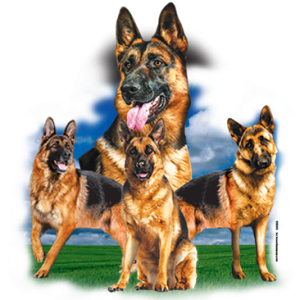 GERMAN SHEPHERD