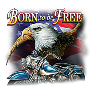 BORN TO BE FREE BIKE