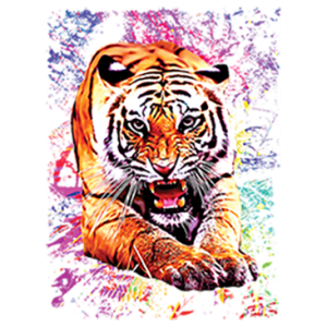 TIGER JUNGLE-NEON