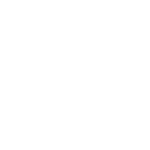 NEVER ARGUE