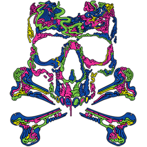 NEON SKULL CROSSBONES