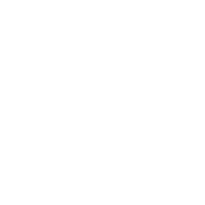 OWN IT VETERAN