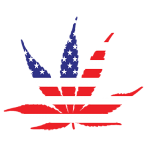 AMERICAN POT LEAF